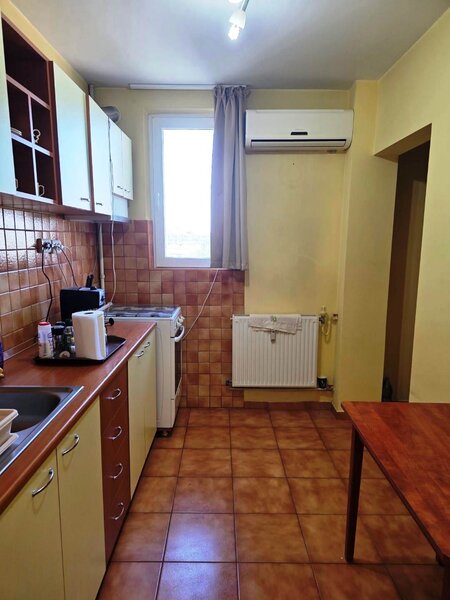 Dristor, Camil Ressu, Park Lake.