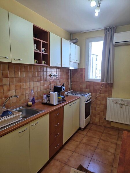 Dristor, Camil Ressu, Park Lake.