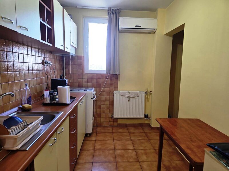 Dristor, Camil Ressu, Park Lake.