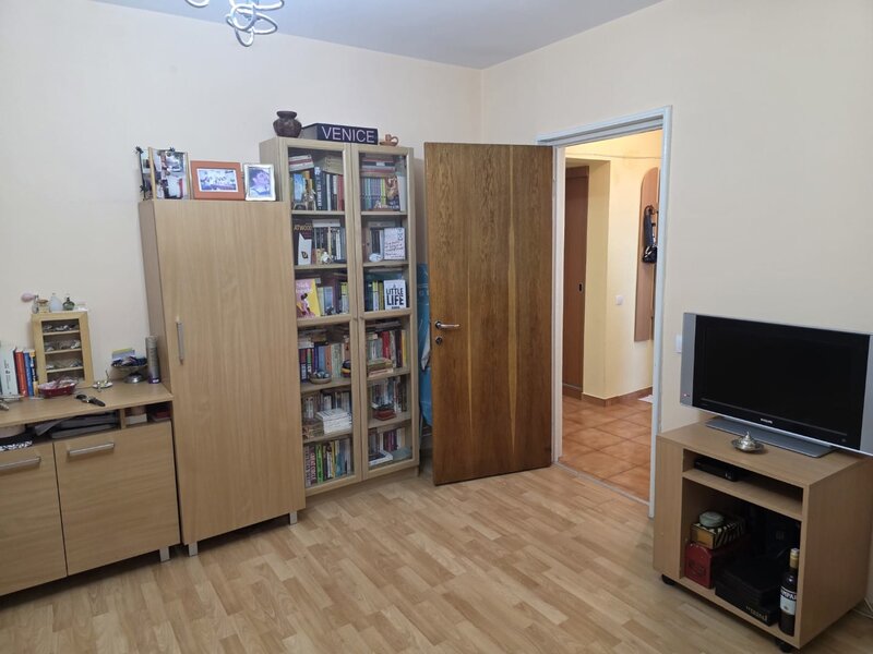 Dristor, Camil Ressu, Park Lake.