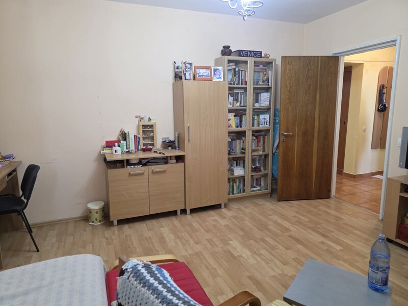 Dristor, Camil Ressu, Park Lake.