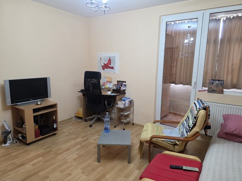 Dristor, Camil Ressu, Park Lake.