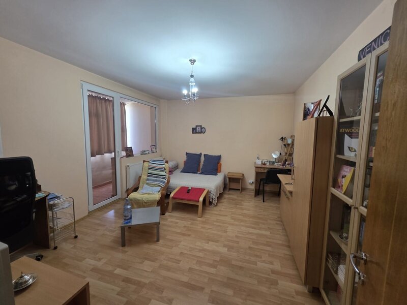 Dristor, Camil Ressu, Park Lake.