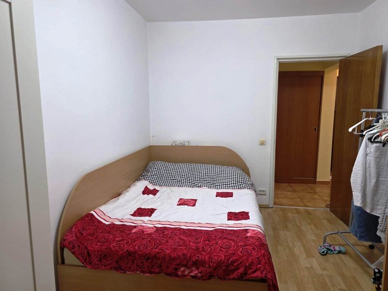 Dristor, Camil Ressu, Park Lake.