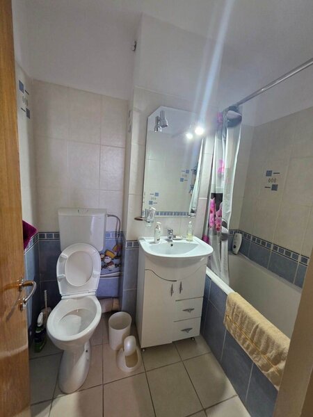 Dristor, Camil Ressu, Park Lake.