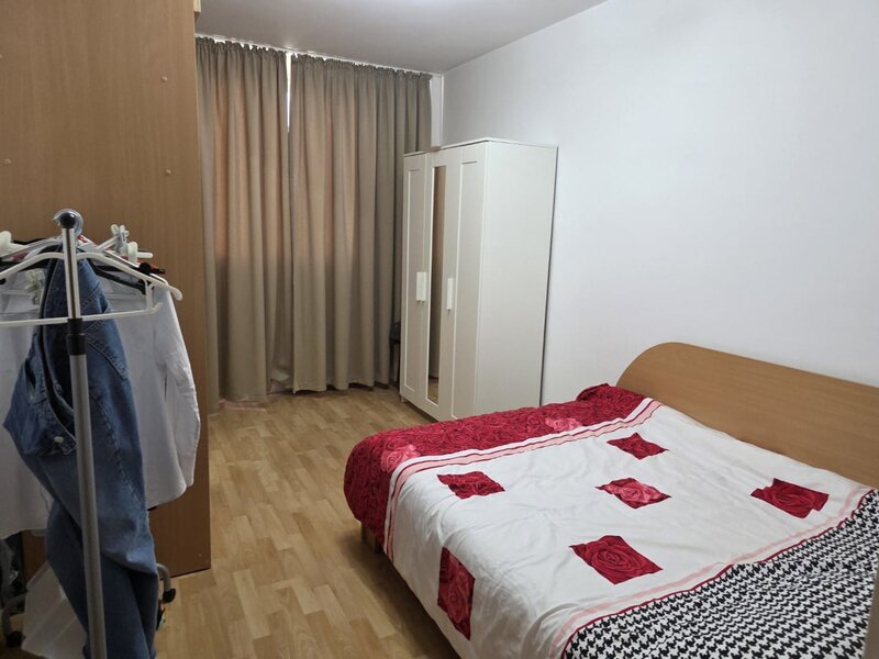 Dristor, Camil Ressu, Park Lake.