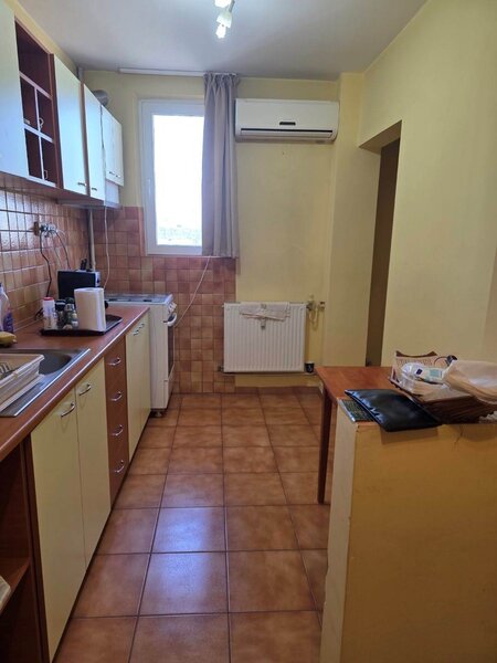 Dristor, Camil Ressu, Park Lake.